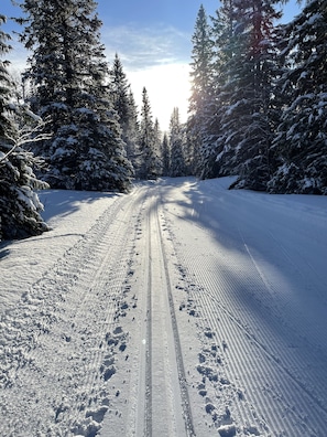 Snow and ski sports