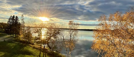 Overnatningsstedets område