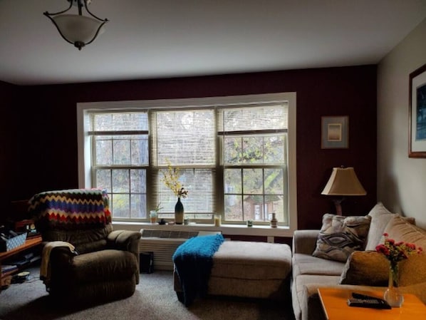 Comfortable full living room with views of Hudson and Park