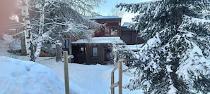 Exteriör