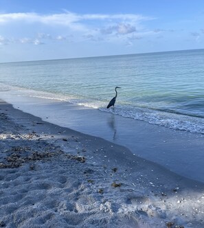 Clear water and blue skies await you.