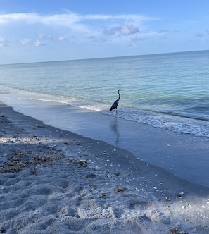 Clear water and blue skies await you.