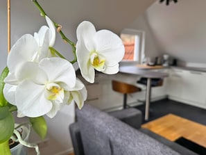 Deko / Blick in Küche
