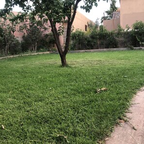 Property grounds