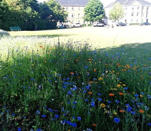 Overnatningsstedets område