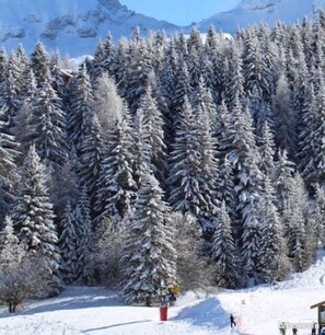 Snow and ski sports