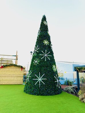 Cayton Bay @ Christmas!