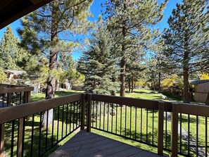 Tree, Nature, Outdoors, Scenery, Railing