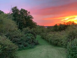 Enjoy East TN sunsets or follow the grassy path to access Douglas Lake.