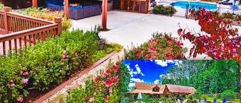 Outdoor Paradise with Private Exclusive Pool, HotTub, Firepits and Entertainment