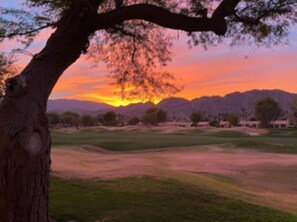 Find all the magic La Quinta has to offer
