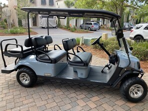 6 Seat Golf Cart--Stored in the garage