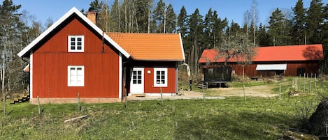 Udendørsområde