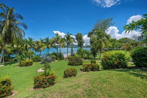Walk to Flamingo Marina!