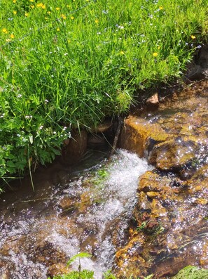 Terrain de l’hébergement 