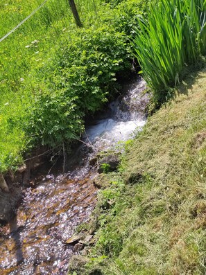 Terrain de l’hébergement 