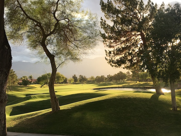 Fairway & Lakeside View