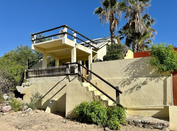 Handrail, House, Tree, Palm Tree, Staircase
