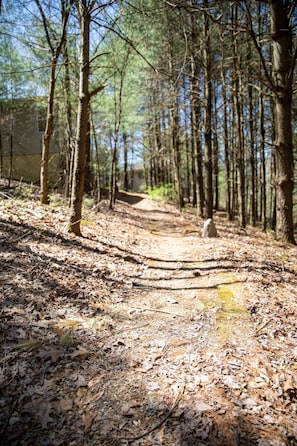 Path to other cottages