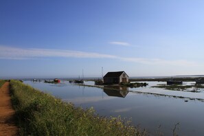 York Cottage, Thornham: The iconic coal barn at Thornham