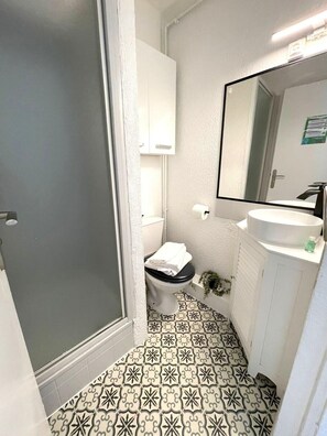 Salle d'eau avec douche, sèche-cheveux, et toilettes