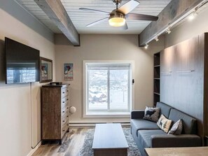 Living room with the Murphy bed in the 'up' position!