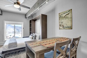 Living room murphy bed in the down position!