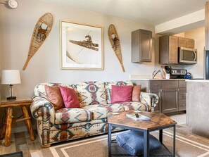 Living Room / Queen Sleeper Sofa