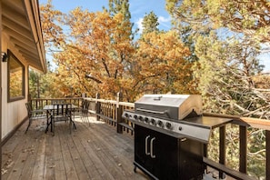 Outdoor space with outdoor seating and gas propane BBQ.