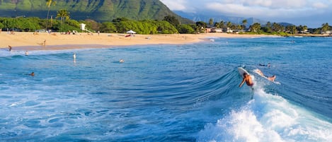 Adventures in the sun and surf, plan your next vacation!