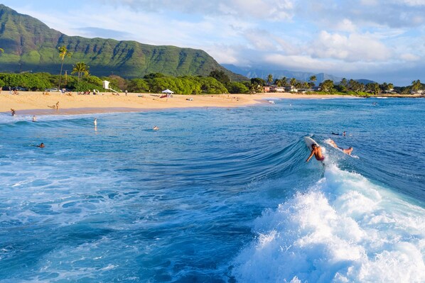 Adventures in the sun and surf, plan your next vacation!