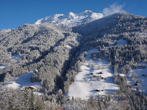 Vue terrasse - Mont Outray