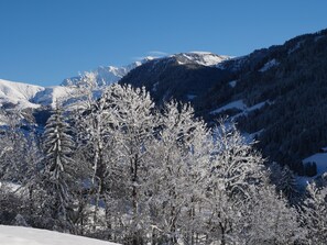 View from the terrace