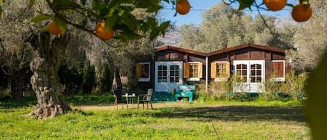 Descubre nuestra cabaña de madera entre olivos centenarios y naranjos. 