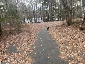 Parks are close and ferry stores coffee shops