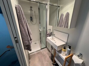 Ensuite bathroom off bedroom