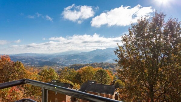 Gorgeous Mt. LeConte Views From The Back Porch!