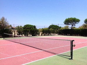 Field (volley/tennis)