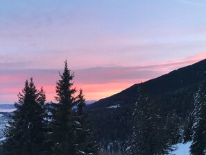 Views