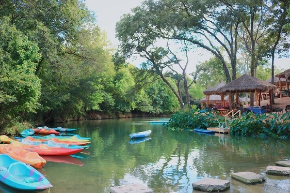 Mornings are a great time to paddle the creek and see wildlife.