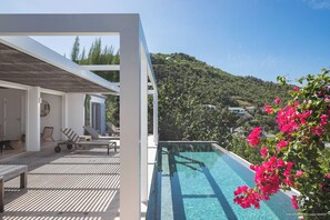 Infinity edge swimming pool, sunbeds, deckchairs, Gas barbecue.