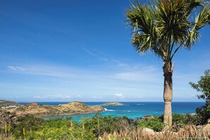 Beautiful tropical garden surrounding the property. Private parking at the entrance. 
