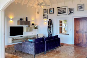 HD-TV, Canal Satellite, Dish Network and Apple TV, sound system, fans.