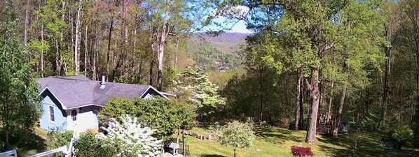 43 Acres in an elevated valley overlooking Boone area mountains