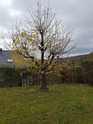 Boendeområde