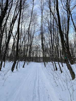 Snow and ski sports