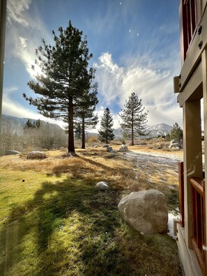 View from the window of the living room.