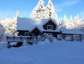 Dislodge at Mt. Baker in Winter.