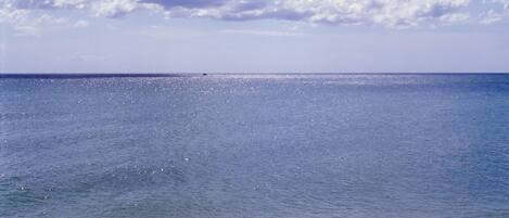 View of the Gulf of Mexico right in front of the beach access.