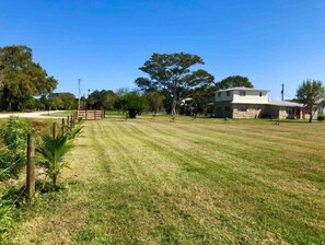 Ample space in three yards for walking leashed pets. (no dog fence)